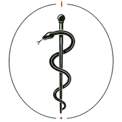 Ordination Dr. Petra Hatzenbichler Logo